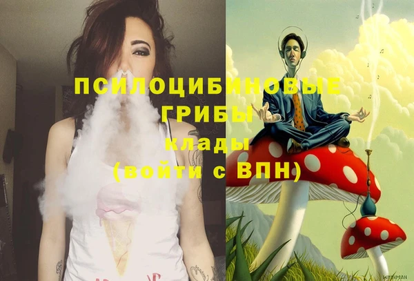 Альфа ПВП Абаза